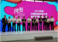 垂感小魔女荣获2019家居软装行业“最具品牌价值企业”奖