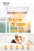 秋日的阳光温馨静谧，少了夏季的狂野。