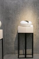 日本当代玻璃艺术群展聚焦No2A艺术空间