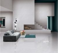 威尔顿瓷砖V9新品，多样化你的居家生活