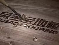 兔宝宝地板荣获“2019年度科技创新品牌”