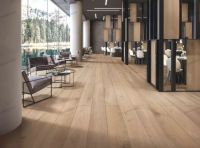 兔宝宝地板荣获“2019年度科技创新品牌”