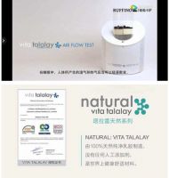 路福原装进口纯天然乳胶枕