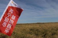 苏宁超市5周年：打造全场景零售体系中的舒适生活