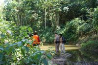 敬天爱人，人木和谐！大自然家居携手二更打造纪录片《寻秘亚马逊》