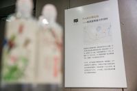 实现心中蓝图 助力美丽乡村 2019FA青年室内设计师奖