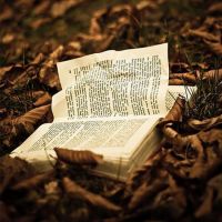 岁月流淌，足迹犹在：今朝装饰21周年，每一步都是一个故事！