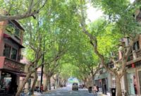 创邑：2019城市生活季，我们想和未来谈谈