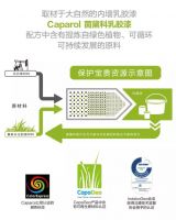 天啦噜！现在植物都可以刷墙了！