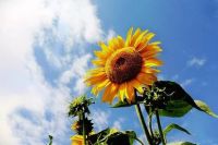 今朝装饰：21年风雨，21年磨练，21年成长，21年辉煌…