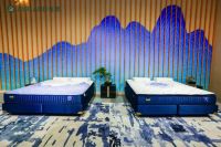 老字号，新国潮，雅兰床垫开启国宝大赏