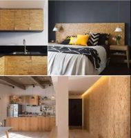 深度双引擎硬实力接轨国际，澳思柏恩引领健康升级