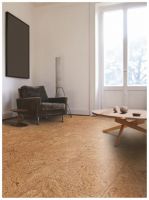 中秋节|把爱带回家，共享团圆日