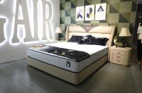 2019上海家博会,穗宝放了什么大招?