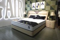 穗宝集团亮相2019中国家博会，重磅发布全新形象