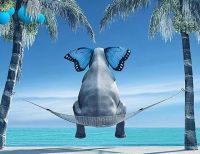 嫌麻烦？那选我啊！