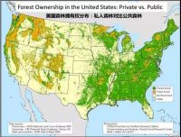 加拿大材能否替代美国材成为我国木材加工企业的首选？