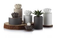 美联饰界：以服务为突破口 引领时尚家居主流市场