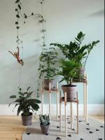 【木菲发现】醒醒吧！这些“除甲醛”的方法，90%都不靠谱