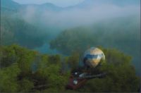 打造自然生活空间站，大自然弹性地板引关注