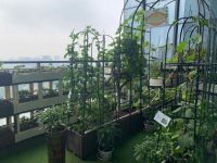 让城市的孩子体验农耕文化也是“改变命运”