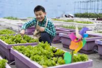 让城市的孩子体验农耕文化也是“改变命运”