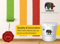 德国功能涂料德爱威的“商业工程”概述