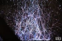 City Walk城市规划展示中心揭幕 开启新一轮城市升级