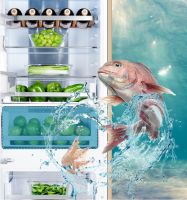 诗凯嵌入式冰箱领鲜上市，零度保鲜开启嵌入式冰箱新纪元