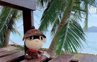 531装修侠凭什么屹立不倒？品质第一！客户第一！