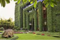 三人行必有我师！兔宝宝Alberta杯“设计三人行”即将启幕