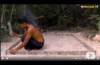 乡村小哥给狗狗搭建豪宅 精致住宅有桥有水惹人羡