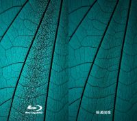 学“明学”追《中餐厅》 必须安利这款熊猫电视