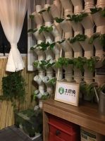 匈牙利美女爱好“捡垃圾”，土巴兔《一席之地》为其打造城市“菜园”