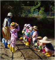 绅乔原创之美 助力道和自然之灵