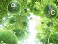 住在森林里，绿色健康你的家，贝尔苹果负离子地板