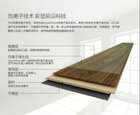 住在森林里，绿色健康你的家，贝尔苹果负离子地板