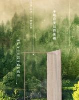 千年舟20年用心做好一张板 缔造绿色健康家居生活