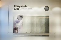 《就你最会装》特约色彩女王王凤波科普如何高级灰造靓家