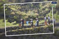 这些让人向往的生活，其实你也可以拥有