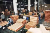 地板品牌太多怎么选？抓住这个关键词就能解决！