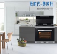 还在忍受厨房油烟？莱普帝斯集成灶有话要说！