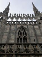 设计师杨艺：心若动，世界随你而动