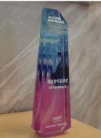 快讯|鸿雁荣获“天猫精灵精诚合作品牌奖”