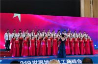 欧宝地板/木门/整体家居受邀参加2019世界地板业工商峰会