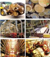 KRONOSWISS瑞士卢森通过国际严格的甲醛排放标准