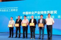 世界看中国，德尔地板承办2019世界地板业工商峰会