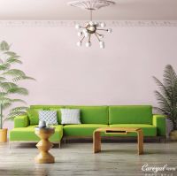 【可罗雅】世界旅行日行于旅途 感知四季变迁