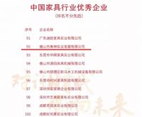 匠心 · 筑梦30年 | 美神集团喜获“中国家具行业优秀企业