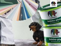 当狮子座“赖上”德爱威家装涂料